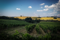 Tuscia (Lubriano - Castiglione)